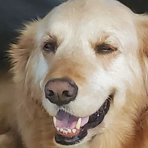 Meet your Posher, Eduardo